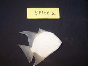Spadefish 2                      